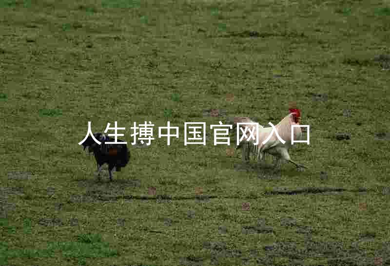 人生搏中国官网入口